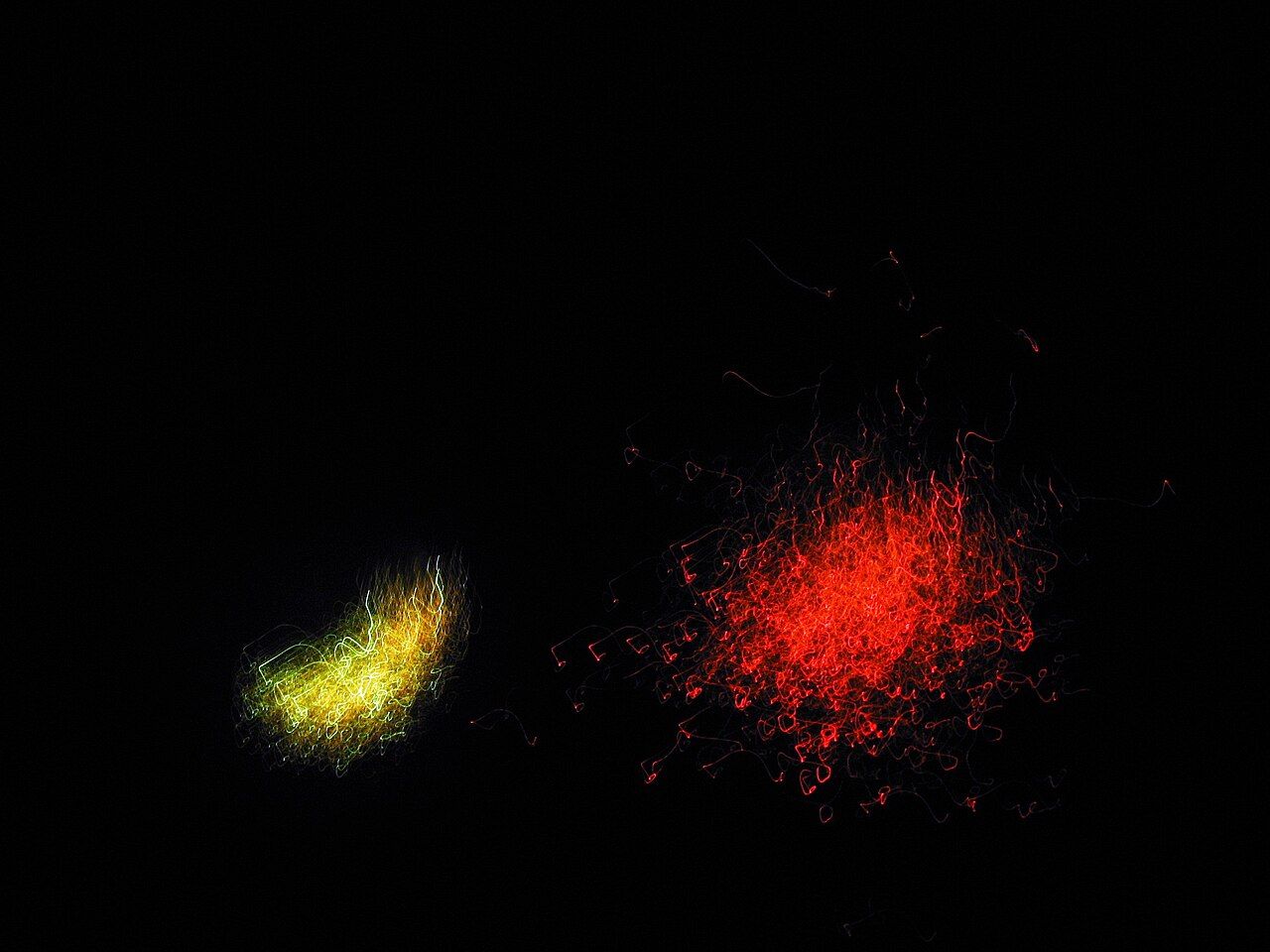 Fireworks bursting against a dark night sky