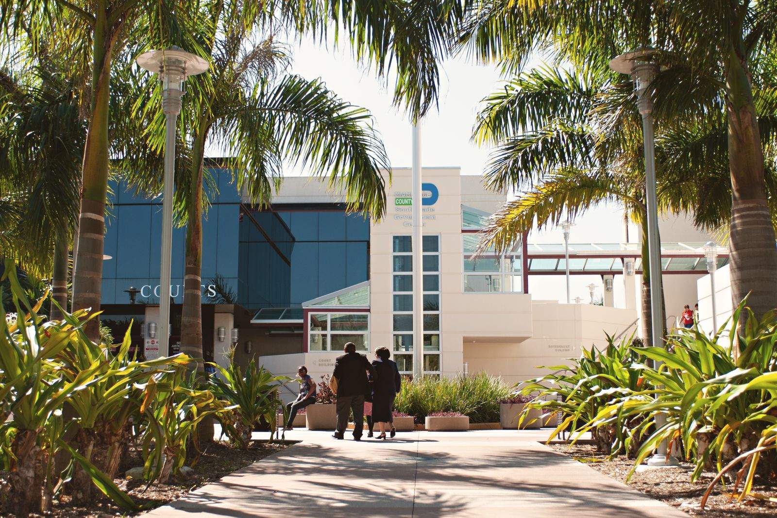 Entrance of a Miami-Dade county courts building behind royal palms in bright sun