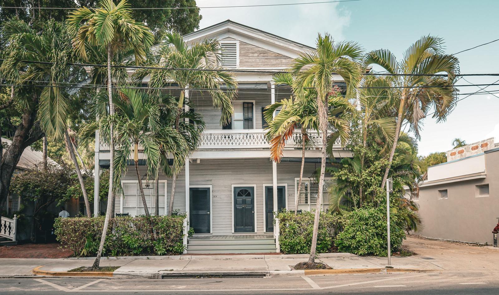 Two-storey wooden house behind tall palms on a sunlit residential street